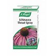 Echinacea Sore Throat Spray